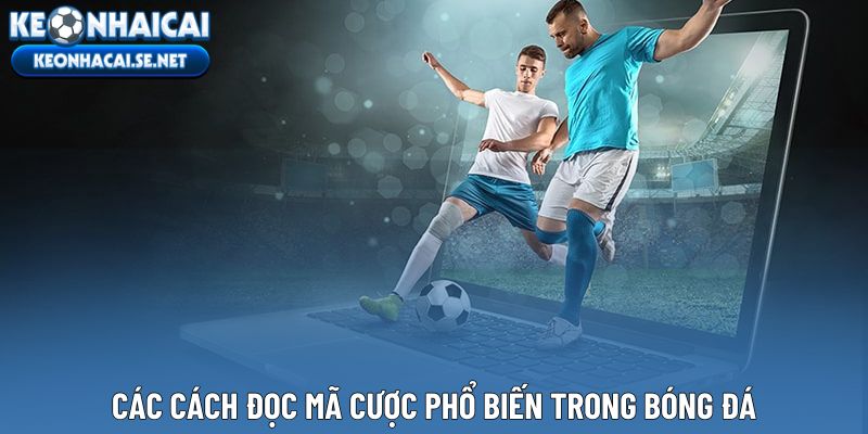 Các cách đọc mã cược phổ biến trong bóng đá