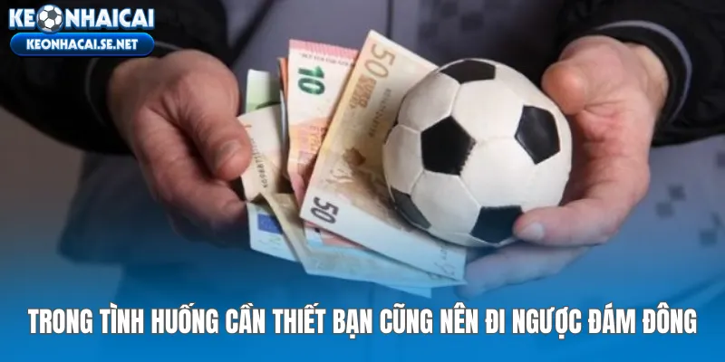 Trong tình huống cần thiết bạn cũng nên đi ngược đám đông