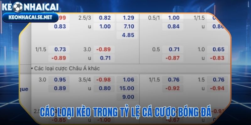 Phổ kèo bóng đá đa dạng từ kèo chấp đến kèo góc và kèo thẻ