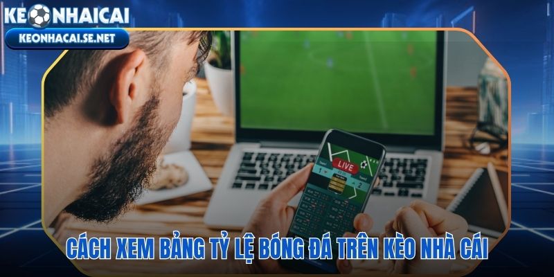 Ba loại tỷ lệ bóng đá với quy tắc đọc và tính thưởng riêng