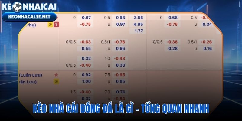 Bóng đá kèo nhà cái và nền tảng tỷ lệ cược cần hiểu trước tiên