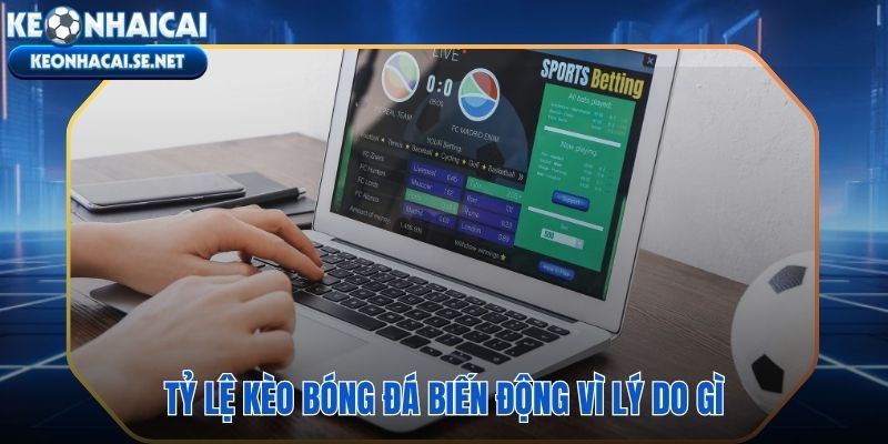 Tỷ lệ cá cược bóng đá và xác suất ngầm định đằng sau mỗi con số odds